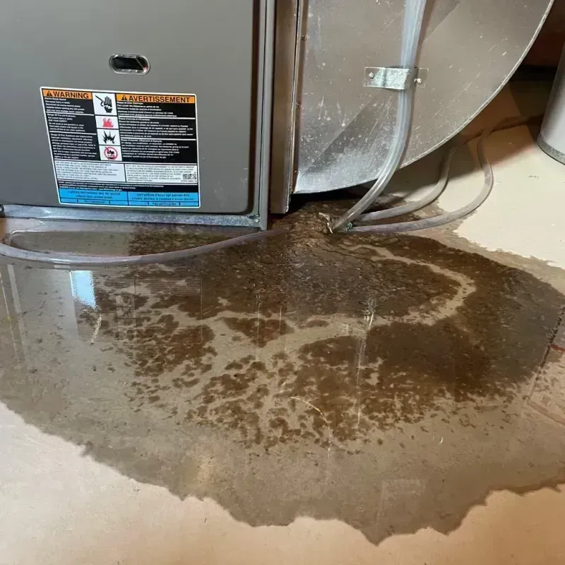 Appliance Leak Cleanup in Bradford, ME